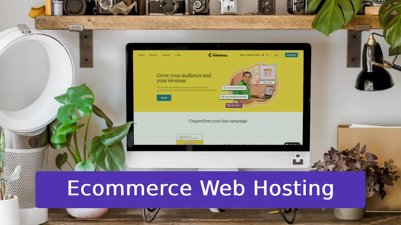 Ecommerce Web Hosting